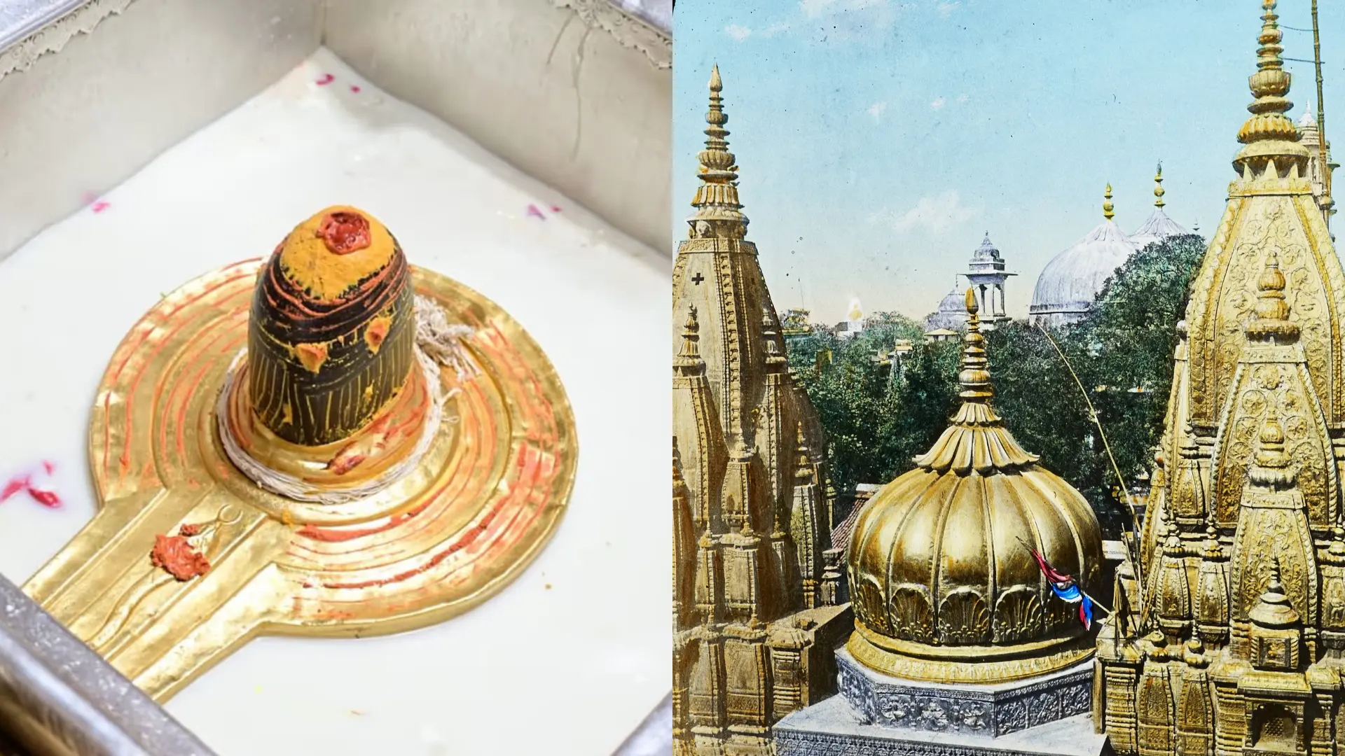 12 jyotirling kahan kahan hai - काशी विश्वनाथ ज्योतिर्लिंग
