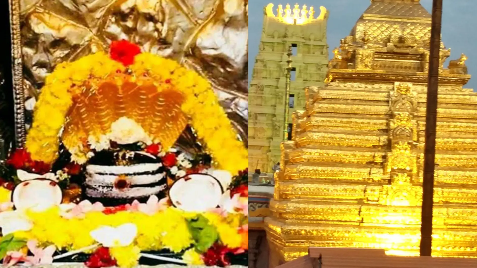 12 jyotirling kahan kahan hai - मल्लिकार्जुन ज्योतिर्लिंग